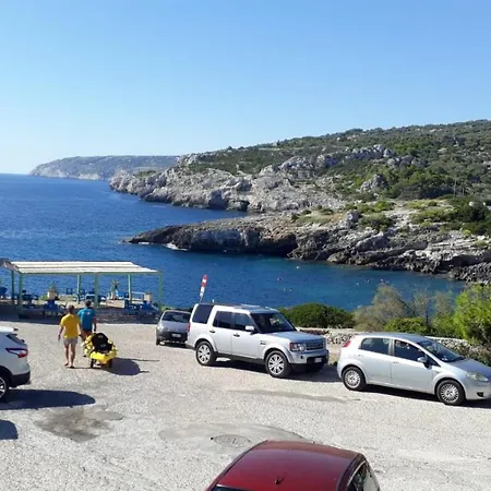 Degli Ulivi Holiday home *